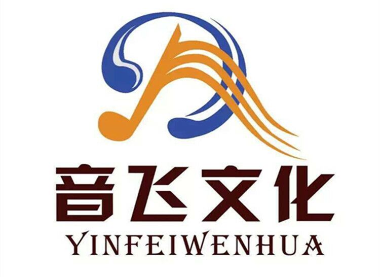河南音飞艺术培训专业培训各类器乐